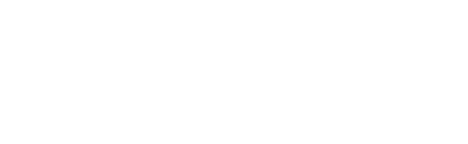 Portal Whiz | Se precisar, assobie.
